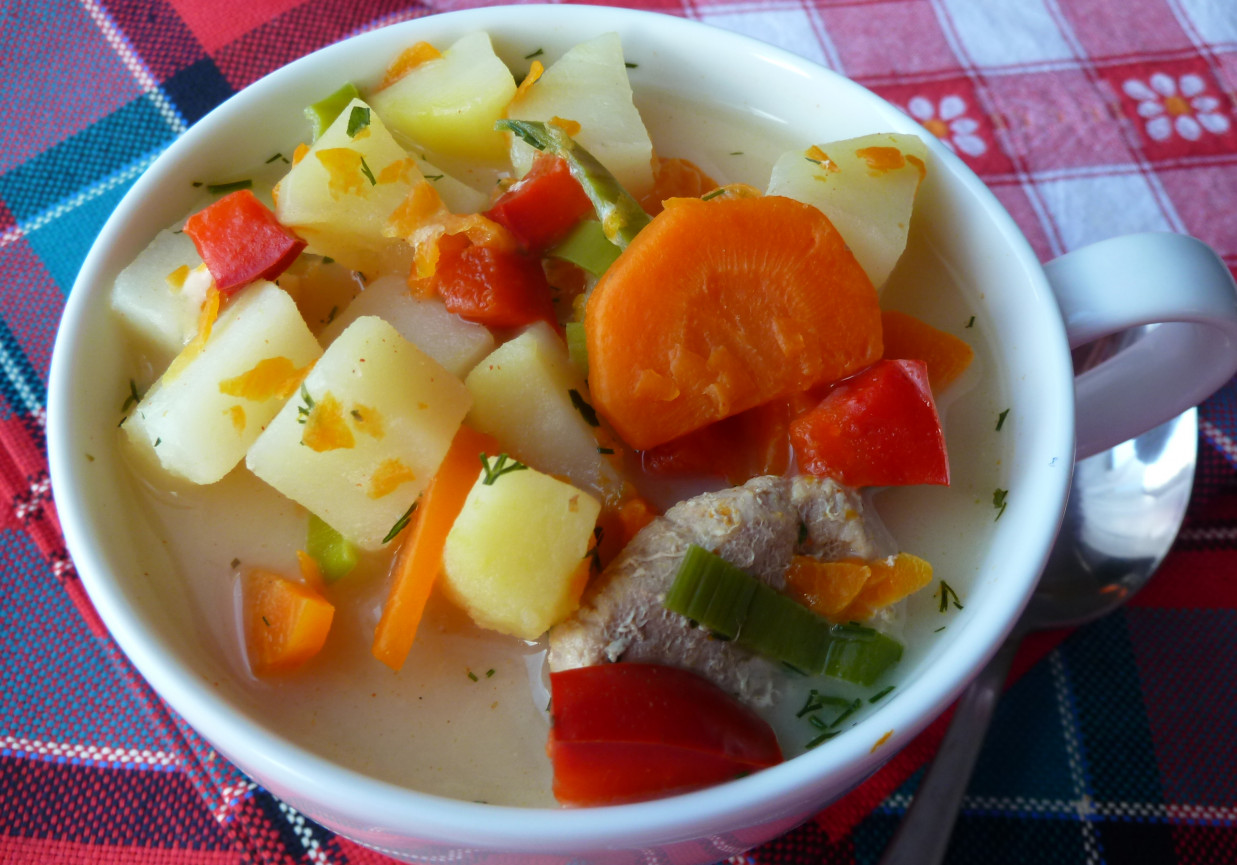 Zupa jesienna z papryką, porem i serkiem topionym foto