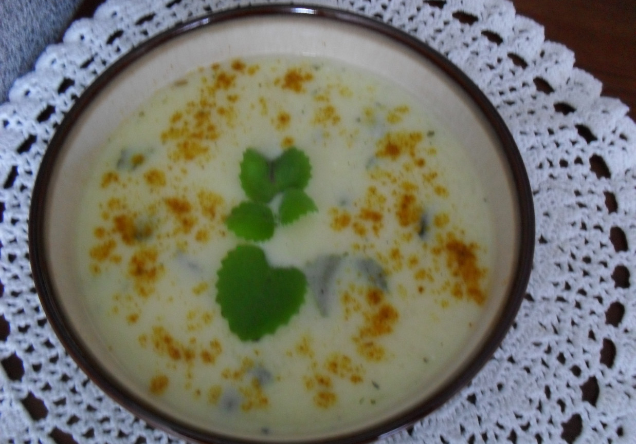 Zupa jogurtowa foto