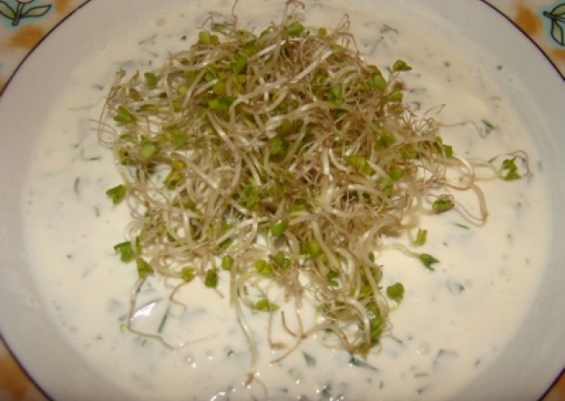 Fotografia przedstawiająca Zupa jogurtowo - ziołowa