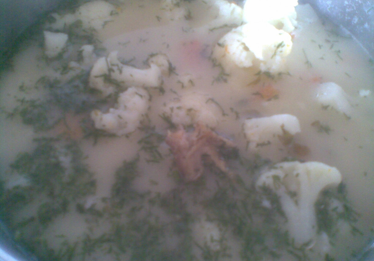 zupa kalafiorowa na wywarze z kaczki foto