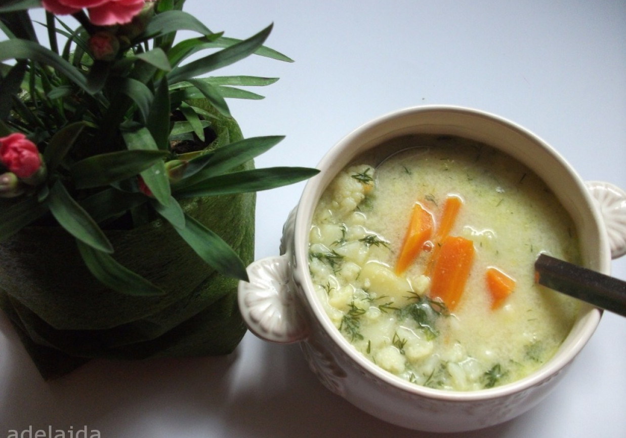 Zupa kalafiorowa z koperkiem foto