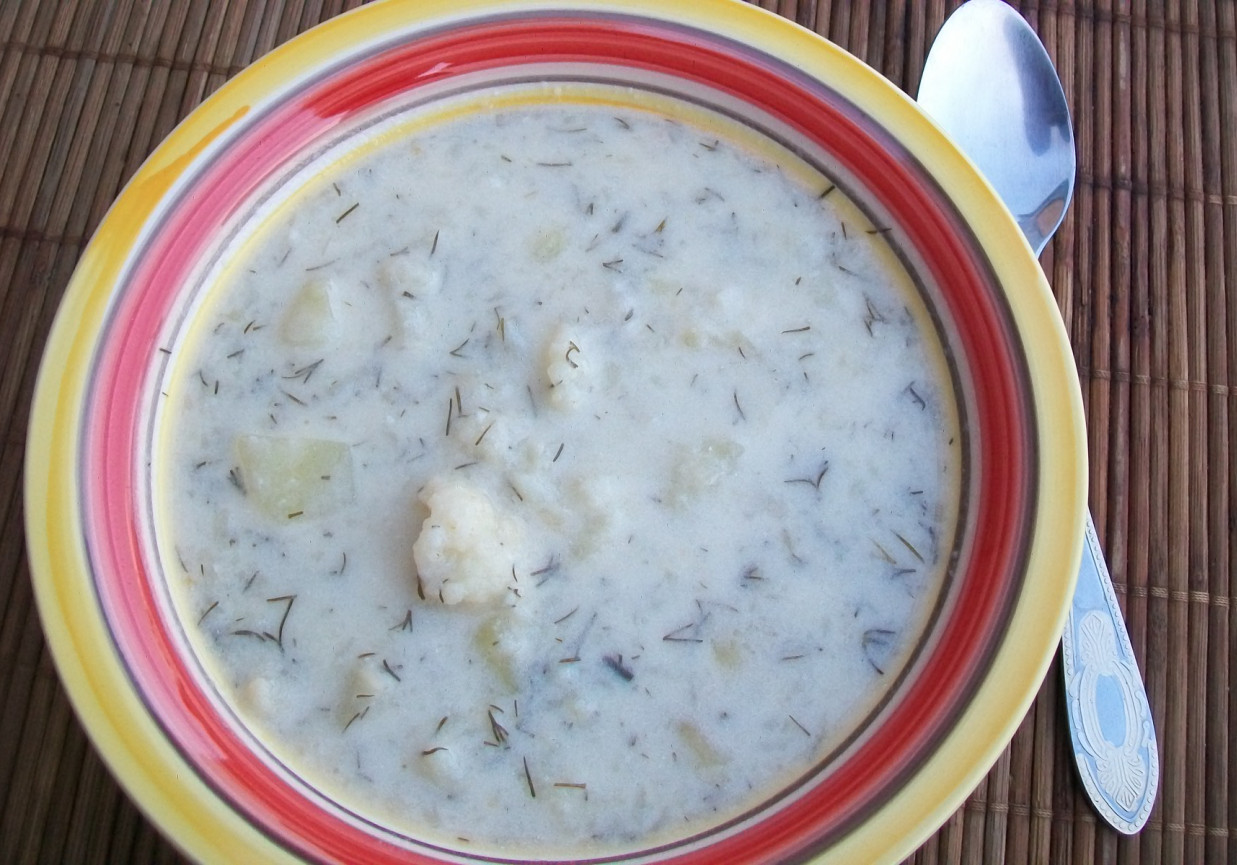 Zupa kalafiorowa z koperkiem foto