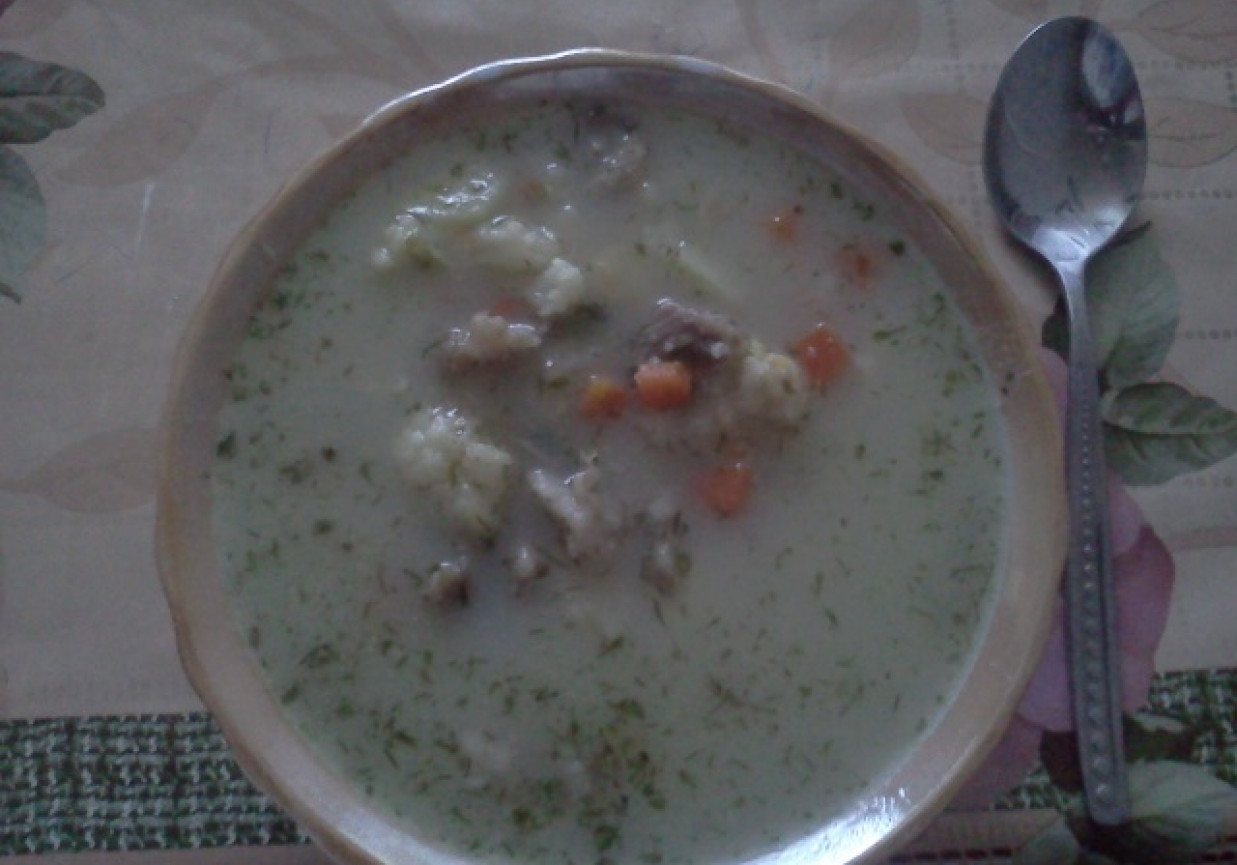 Zupa kalafiorowa z koperkiem DoradcaSmaku.pl