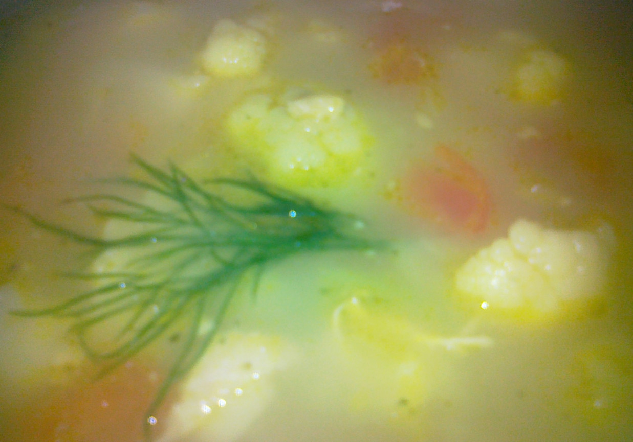 zupa kalafiorowa z kurczakiem foto