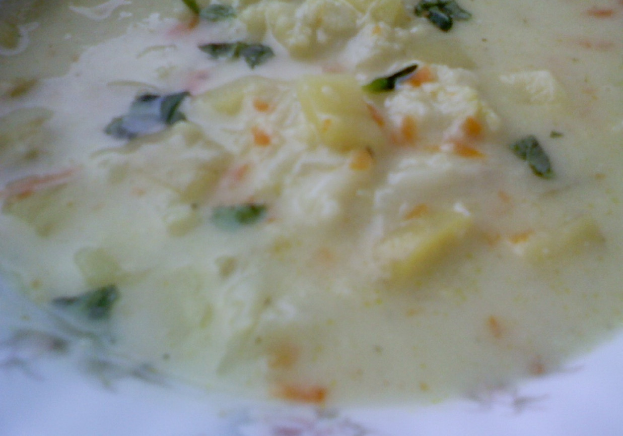 Zupa kalafiorowa z młodymi ziemniakami foto