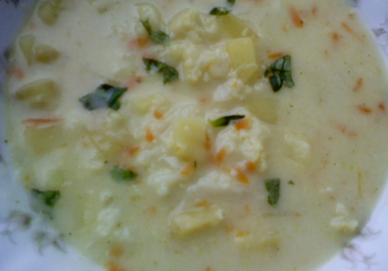 Zupa kalafiorowa z młodymi ziemniakami foto
