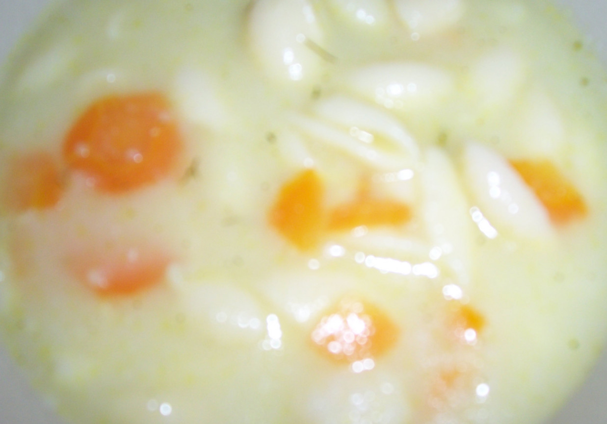 zupa kalafiorowa z muszelkami foto