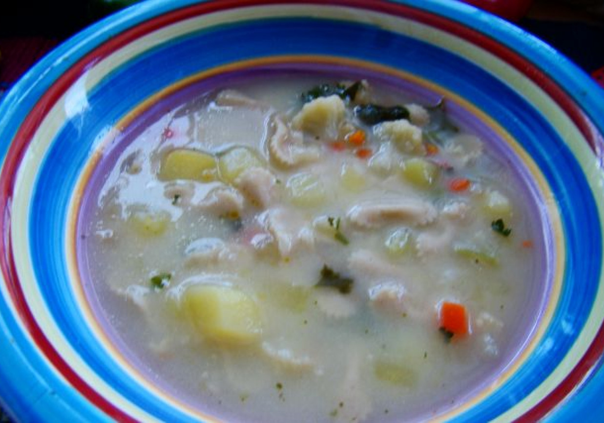Zupa kalafiorowa z razowym makaronem foto