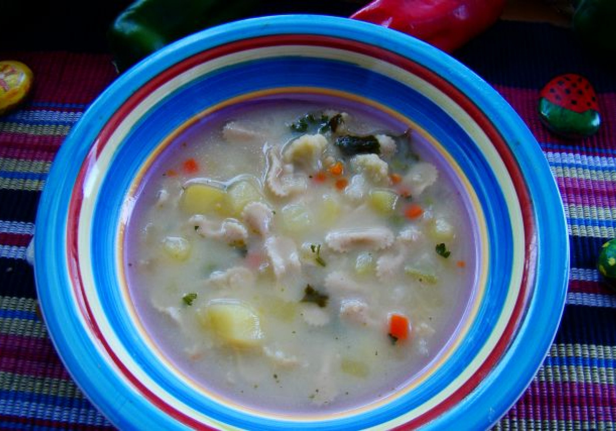 Zupa kalafiorowa z razowym makaronem foto