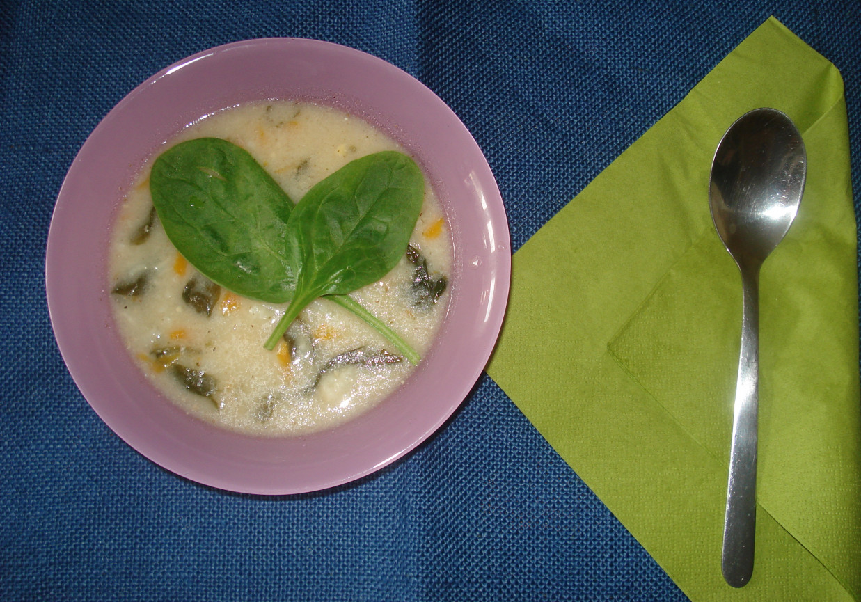 Zupa kalafiorowa z ryzem i świeżym szpiankiem foto