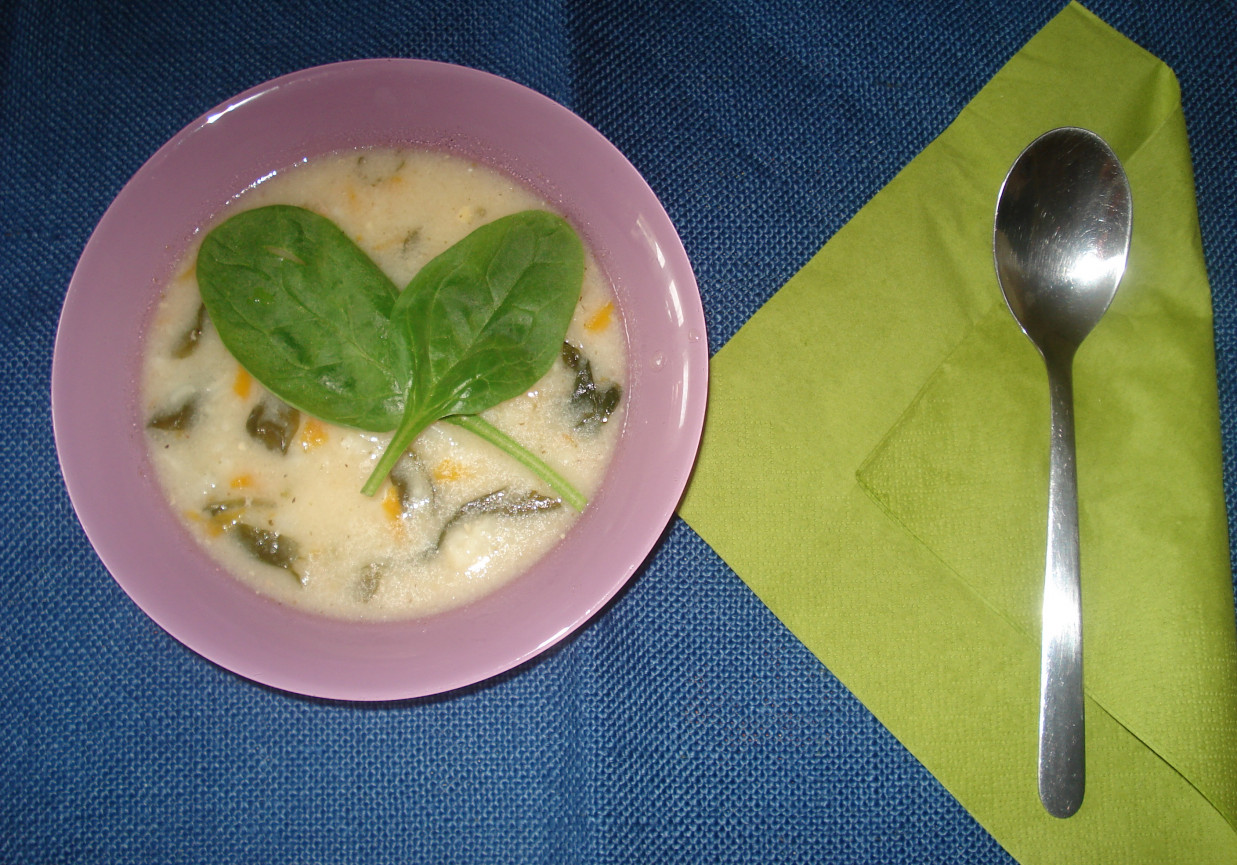Zupa kalafiorowa z ryzem i świeżym szpiankiem foto