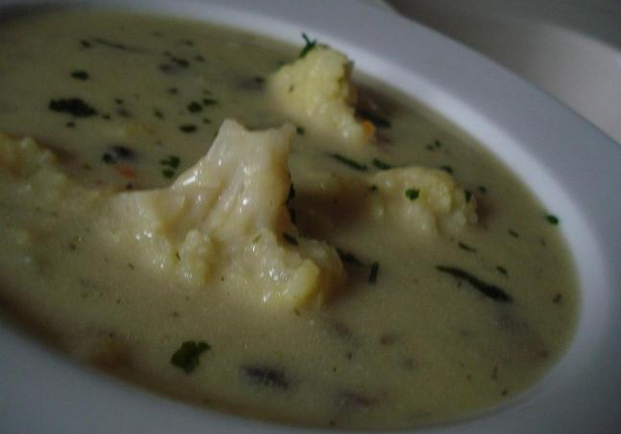 Zupa kalafiorowo- pieczarkowa foto