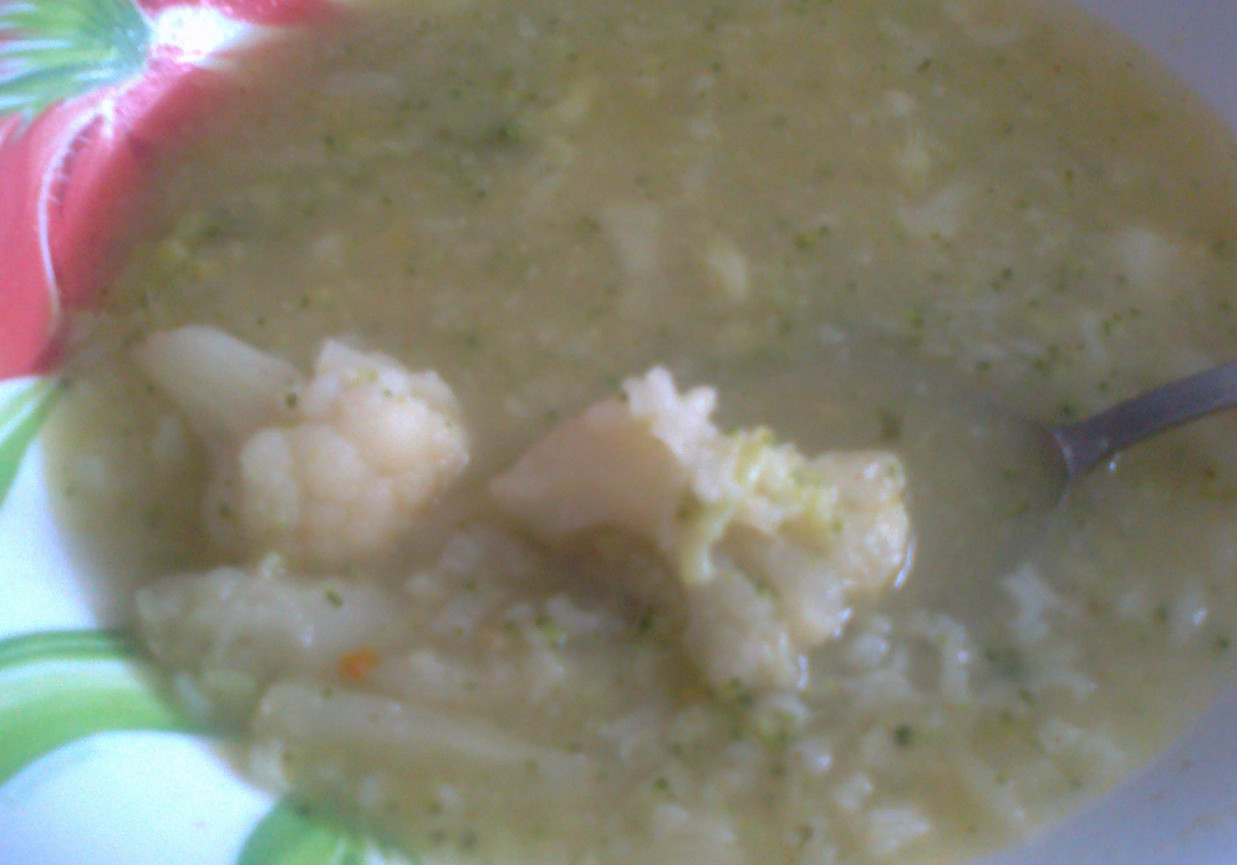 Zupa kalafiorowo-brokułowa z ryżem. foto