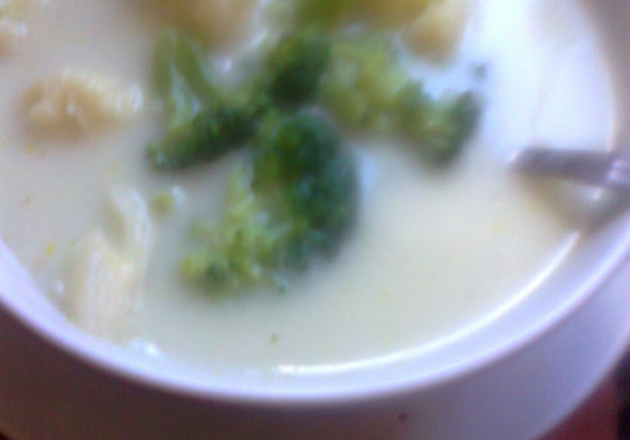 zupa kalafiorowo-brokułowa foto