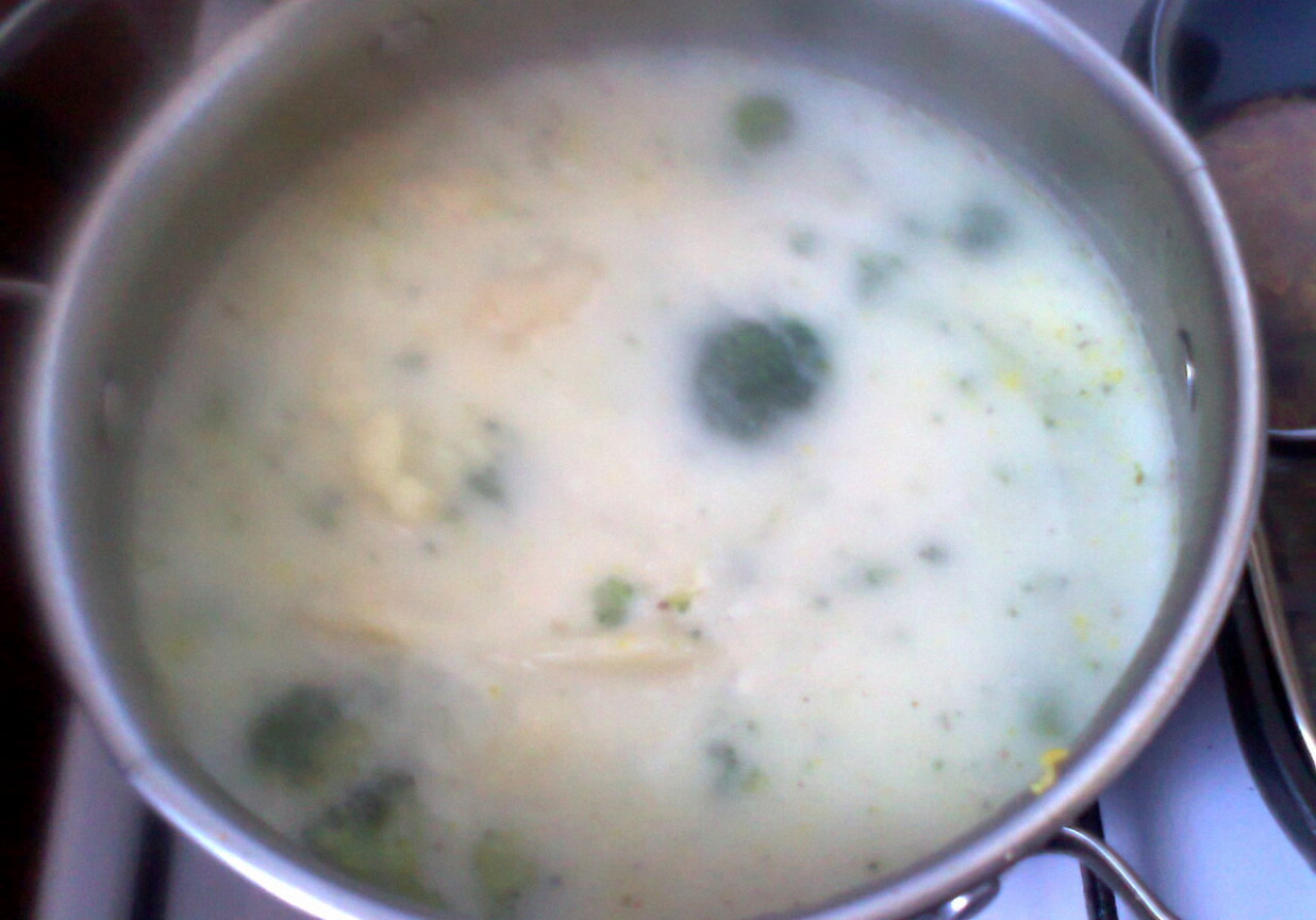 zupa kalafiorowo-brokułowa foto