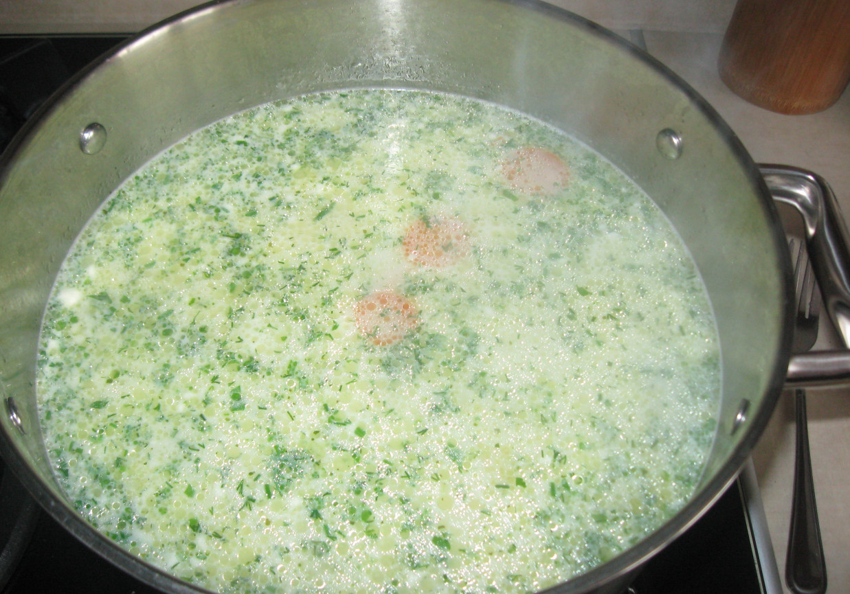 zupa kalafiorowo-koperkowa foto