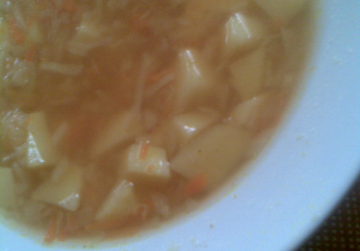 Zupa kapuściana z koncentratem pomidorowym foto