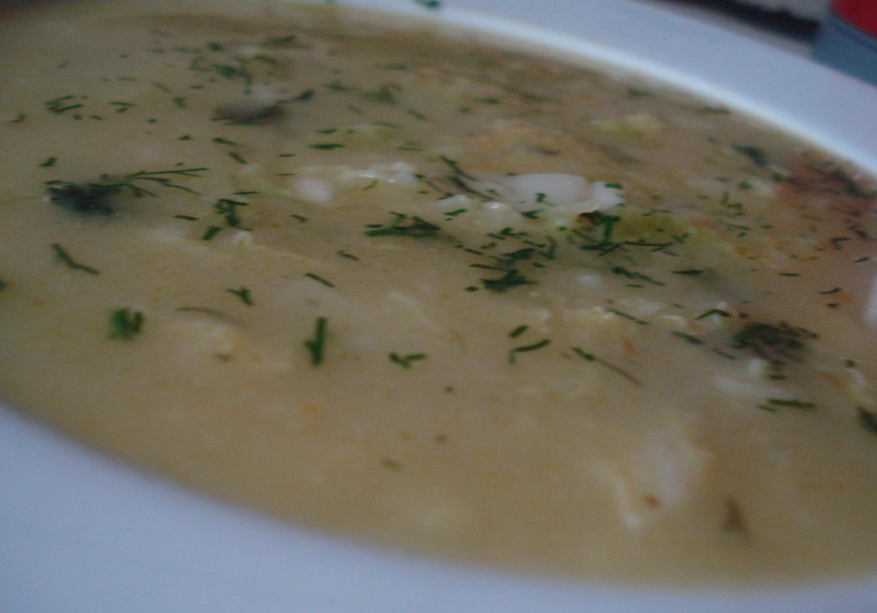 Zupa kapuściana z serduszkami foto