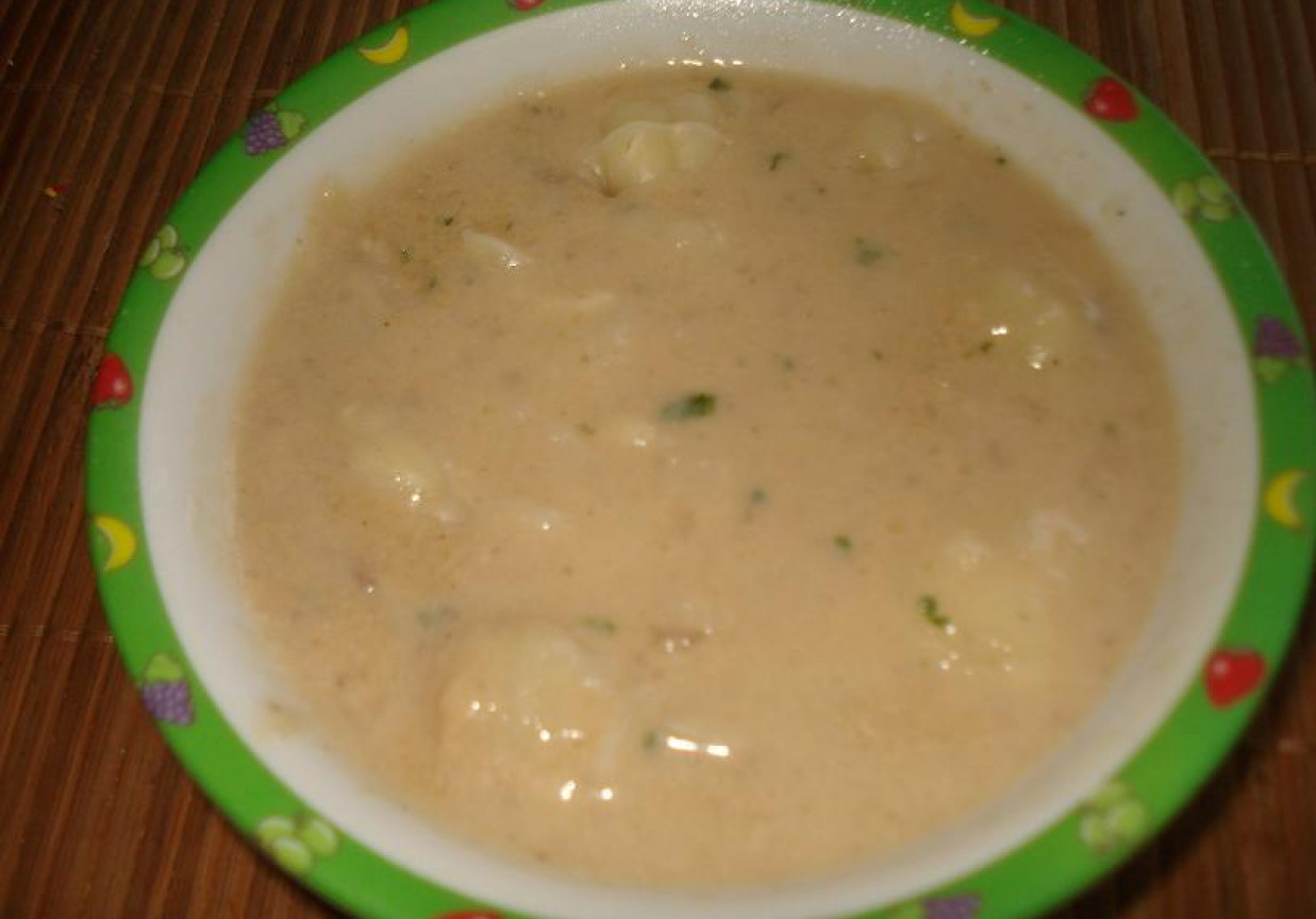 Zupa kerm pieczarkowo- cebulowa foto