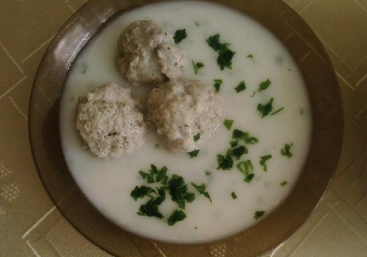 Zupa klopsikowa. foto