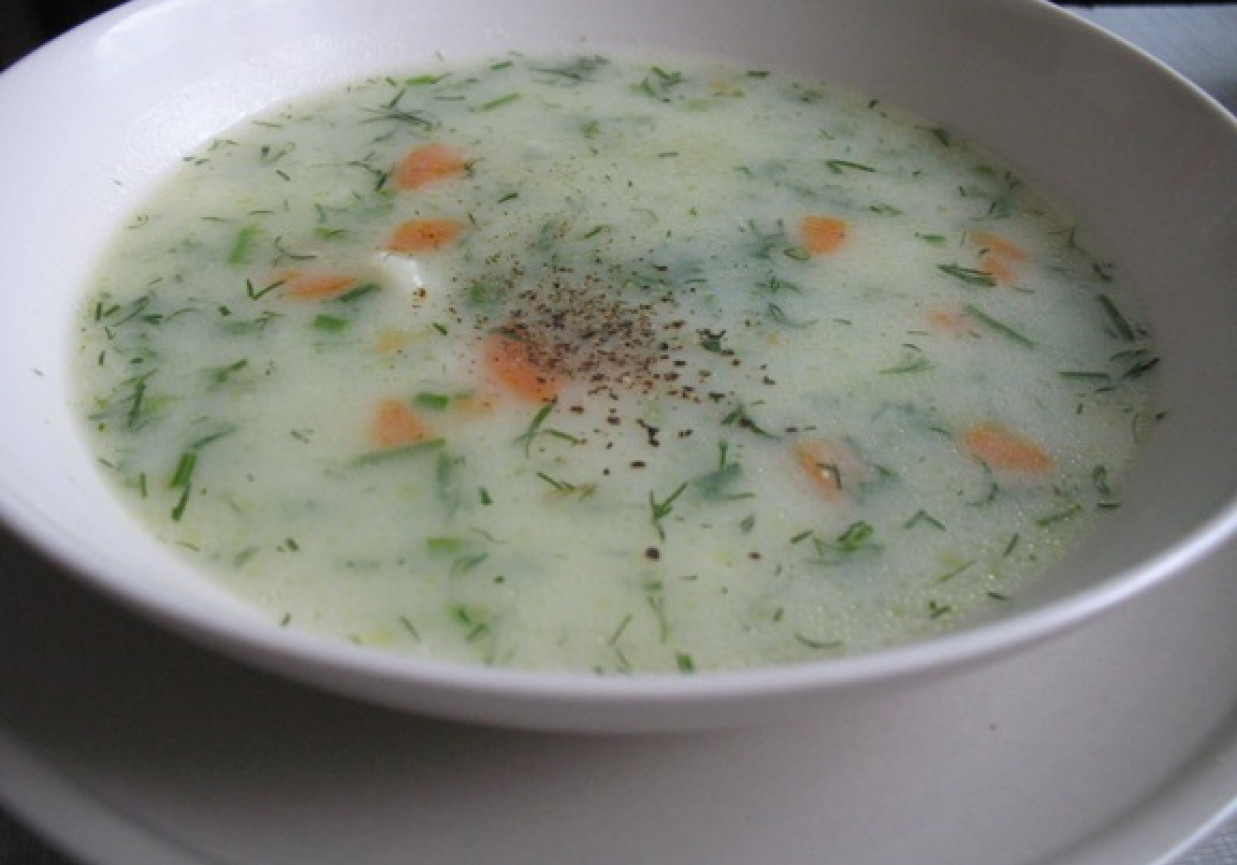 Zupa koperkowa " domowa" foto