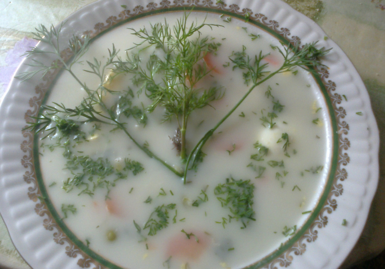Zupa koperkowa Jagódki foto