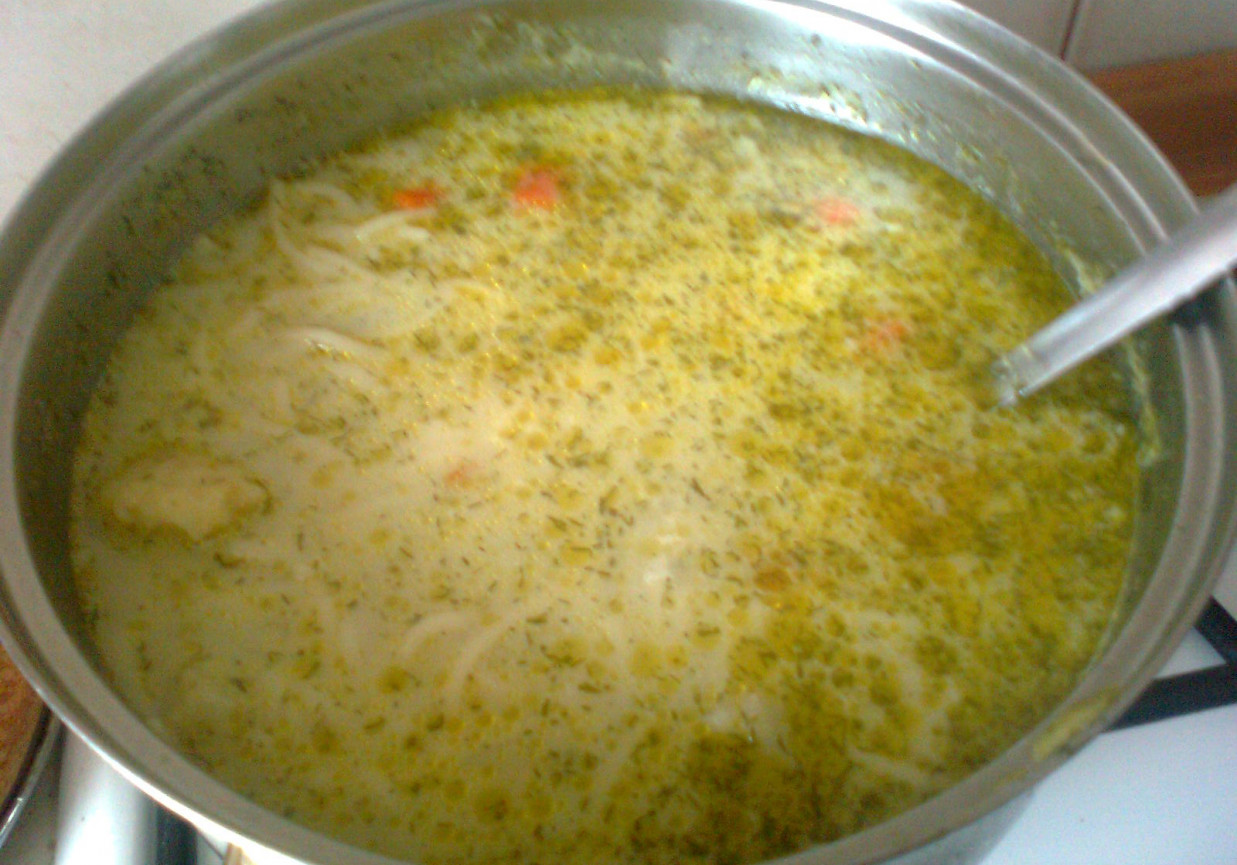 Zupa koperkowa z kalafiorem foto