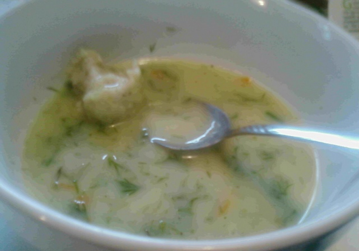 zupa koperkowa z klopsikami foto