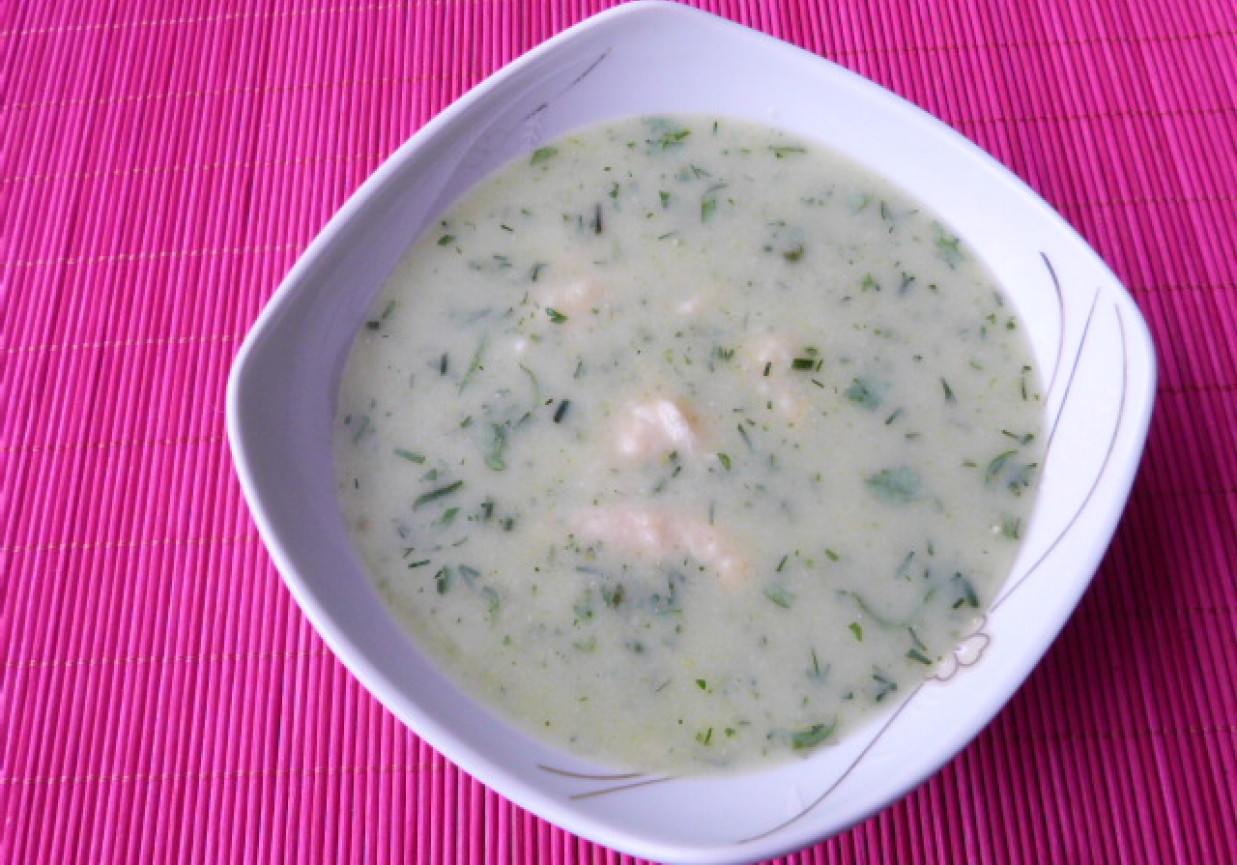 Zupa koperkowa z kluskami foto
