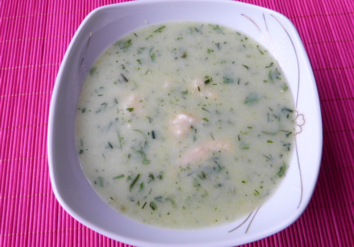 Zupa koperkowa z kluskami foto