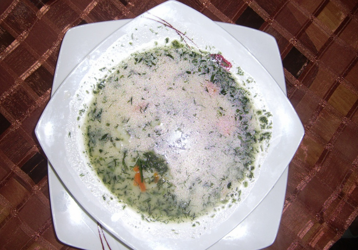 Zupa koperkowa z ryżem foto