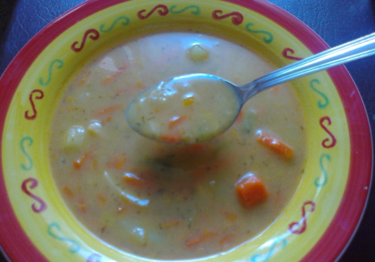 Zupa koperkowa z włoszczyzną foto