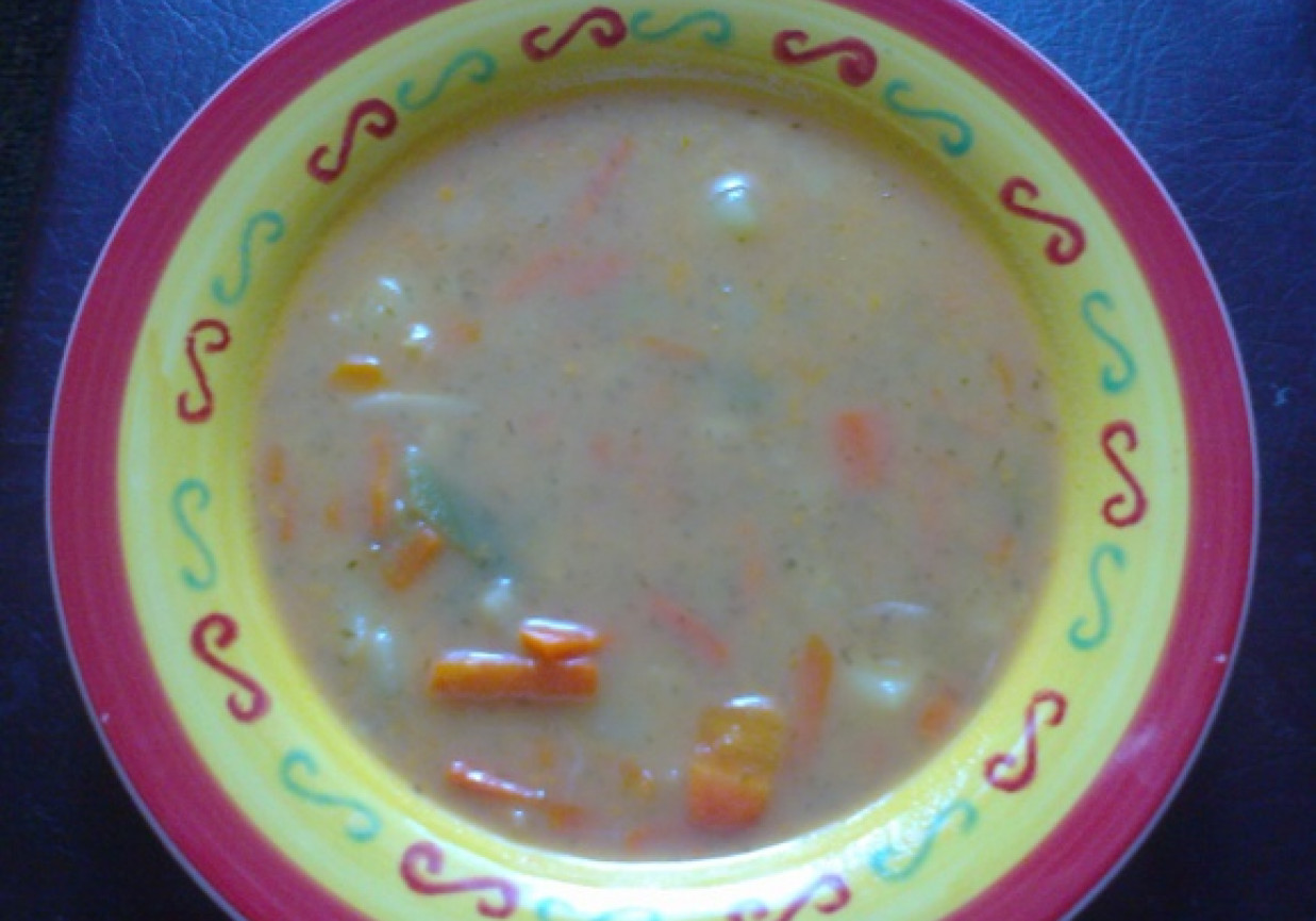 Zupa koperkowa z włoszczyzną foto