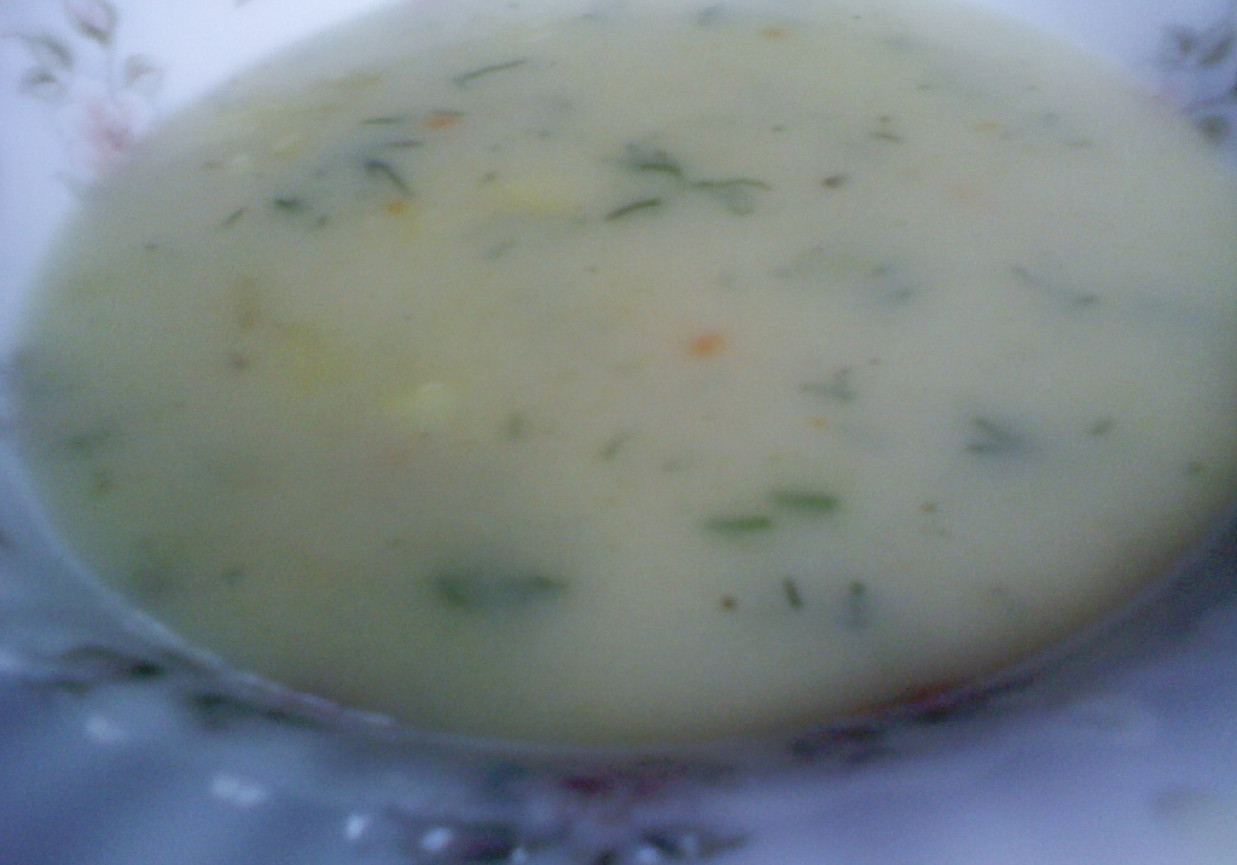 Zupa koperkowa z ziemniakami foto