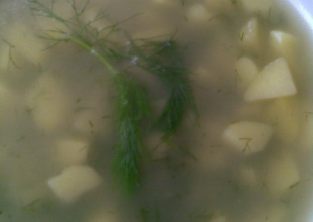 Fotografia przedstawiająca zupa koperkowa z ziemniakami