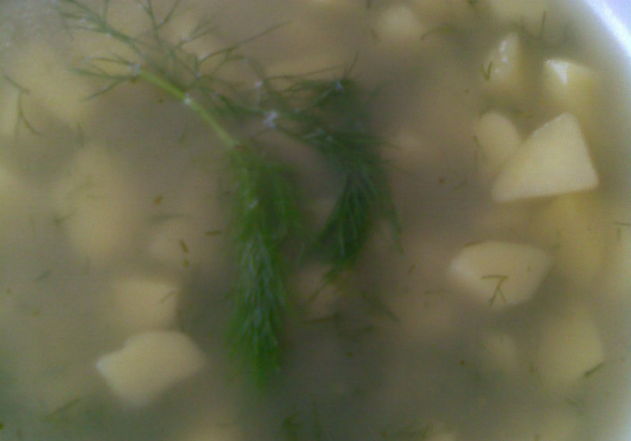 zupa koperkowa z ziemniakami foto
