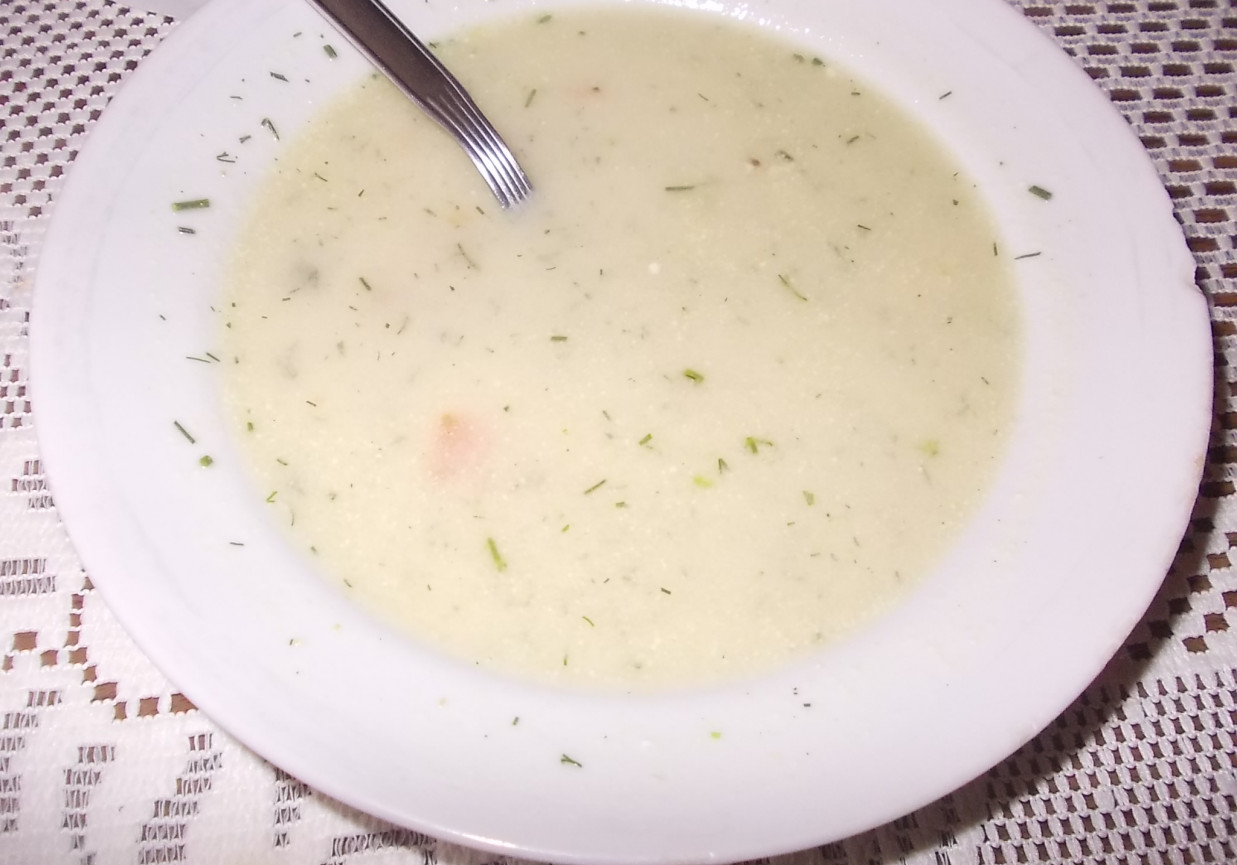 zupa koperkowa foto