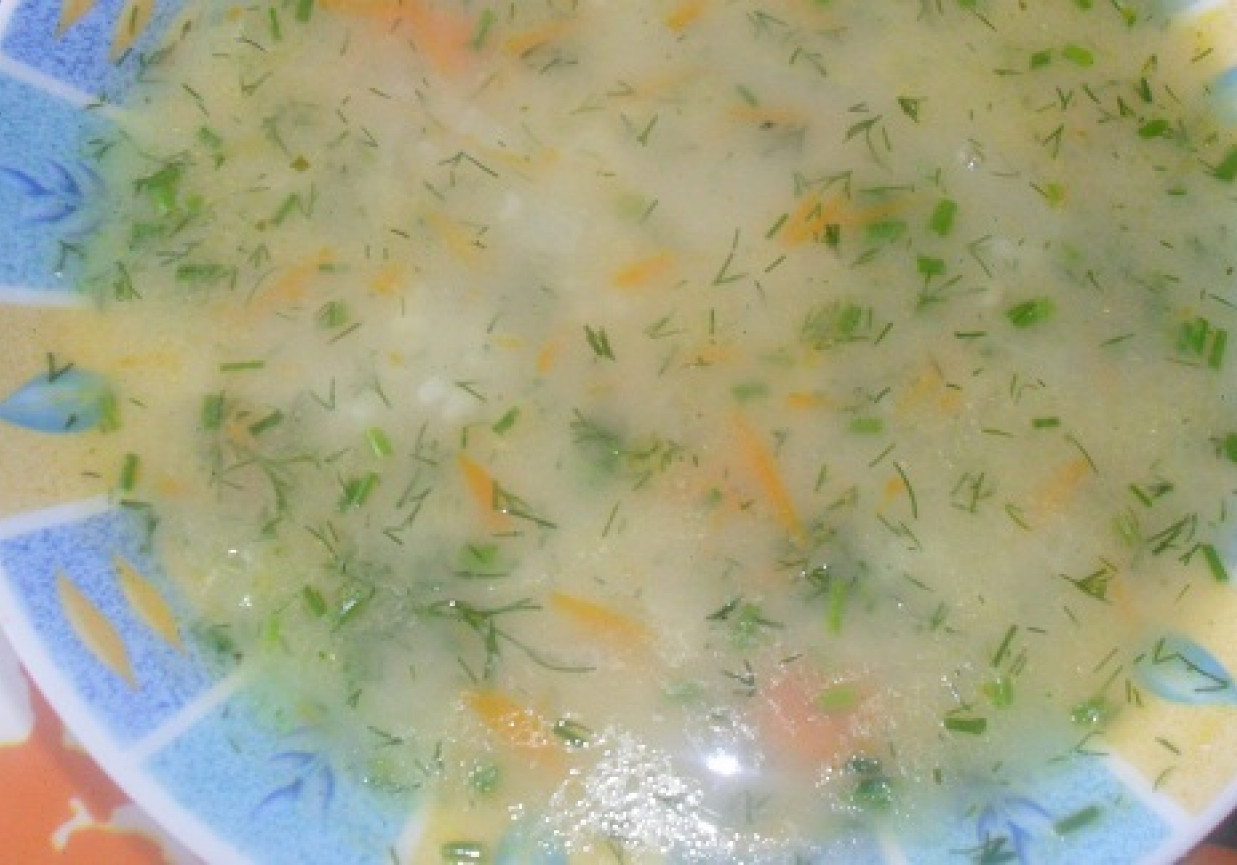 Zupa koperkowa foto