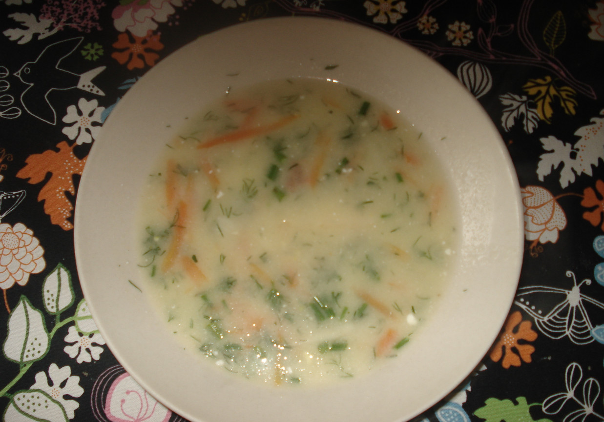 Zupa koperkowo- ryżowa foto