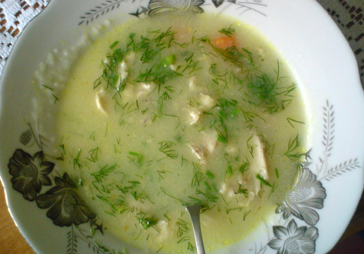 zupa koperkowo-grysikowa foto