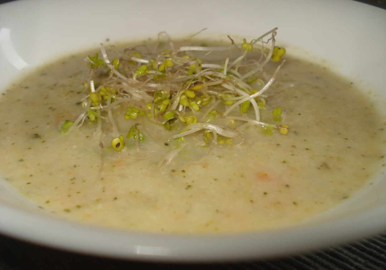 Zupa krem brokułowo-kalafiorowa- zaserwowana z kiełkami brokuła:) foto