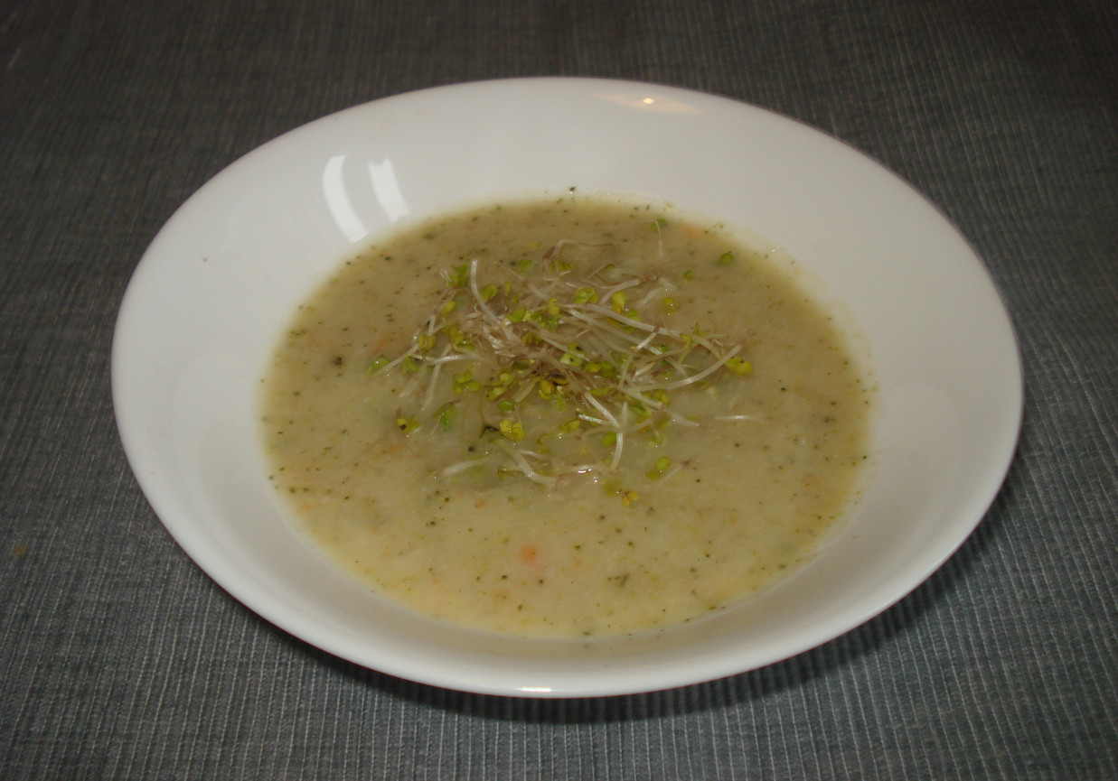 Zupa krem brokułowo-kalafiorowa- zaserwowana z kiełkami brokuła:) foto