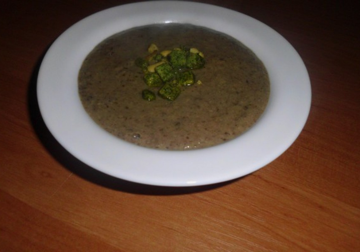 Zupa krem grzybowa foto