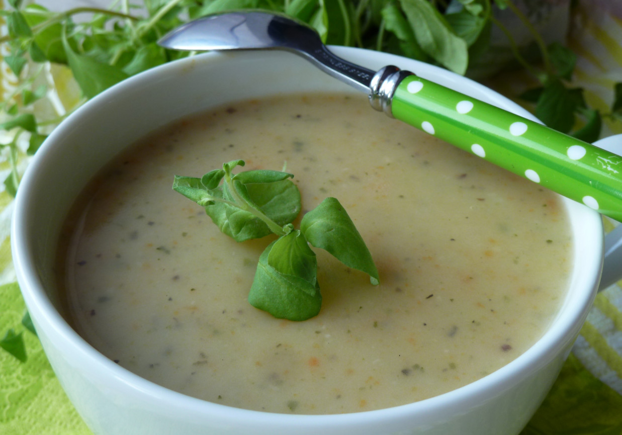 Zupa-krem kartoflana ze świeżym majerankiem foto