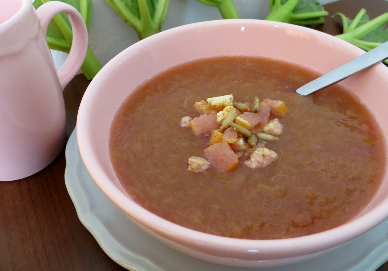 Zupa-krem malinowo rabarbarowy z miodem i słonymi pestkami słonecznika foto