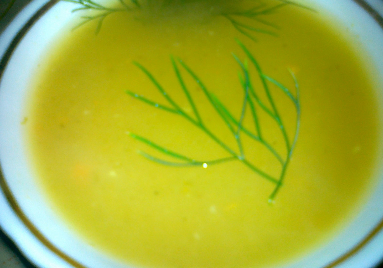 zupa krem ogórkowa foto