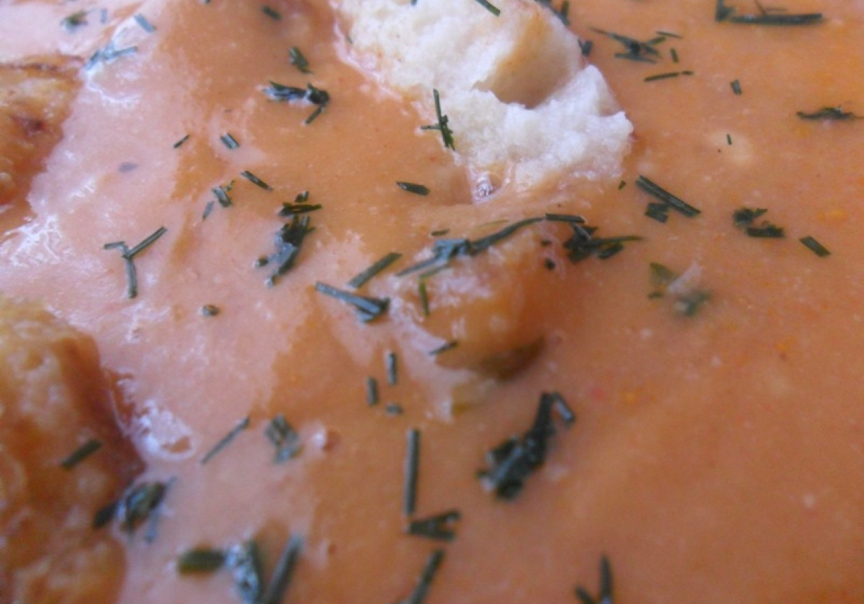 Zupa krem pomidorowa foto