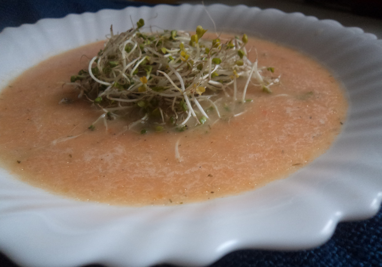 Zupa krem warzywny z kiełkami :) foto