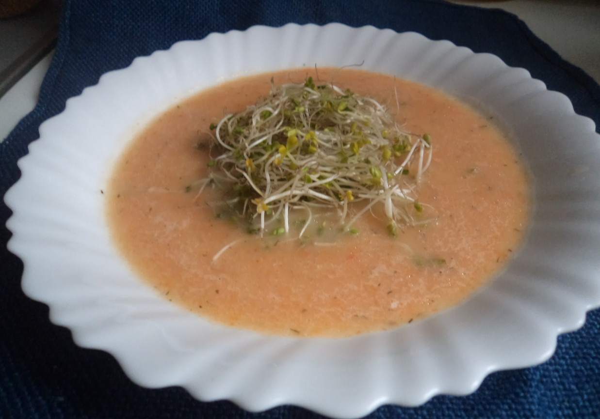 Zupa krem warzywny z kiełkami :) foto