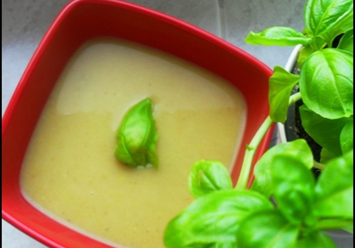 Zupa (krem) warzywny foto